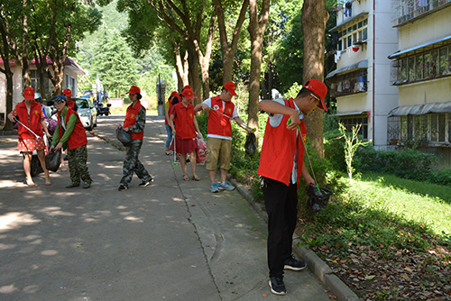党员志愿者南湾湖美化-清理路面